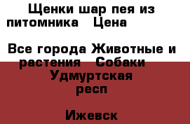 Щенки шар-пея из питомника › Цена ­ 15 000 - Все города Животные и растения » Собаки   . Удмуртская респ.,Ижевск г.